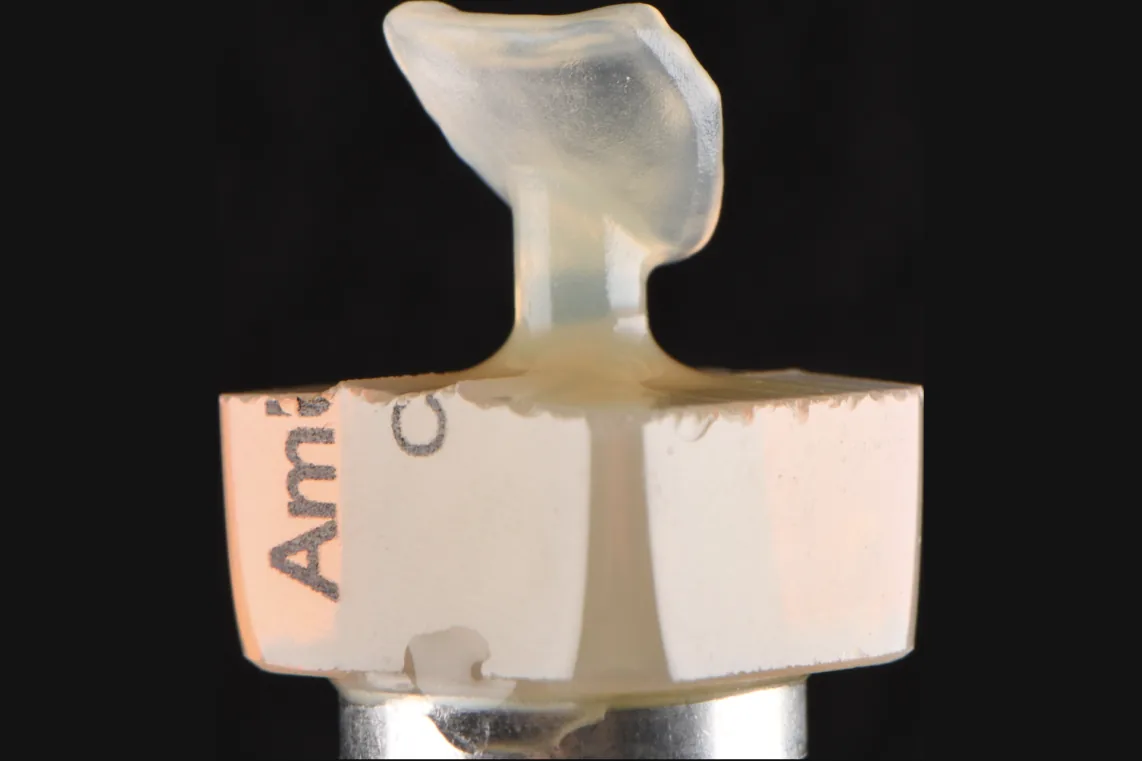 A translucent pressed pattern seated on its die